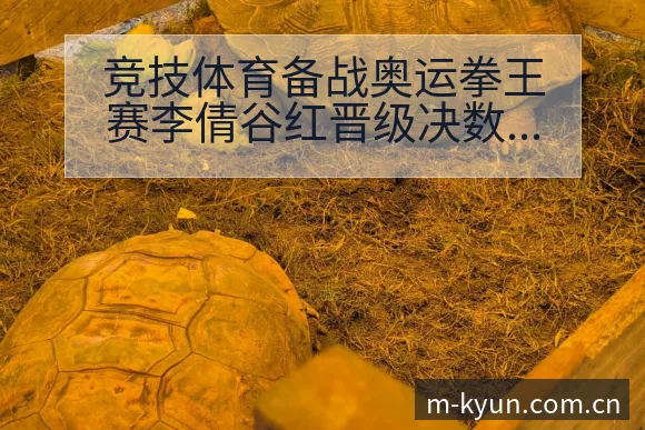 竞技体育备战奥运拳王赛李倩谷红晋级决数据对比与战术价值分 - 开云体育